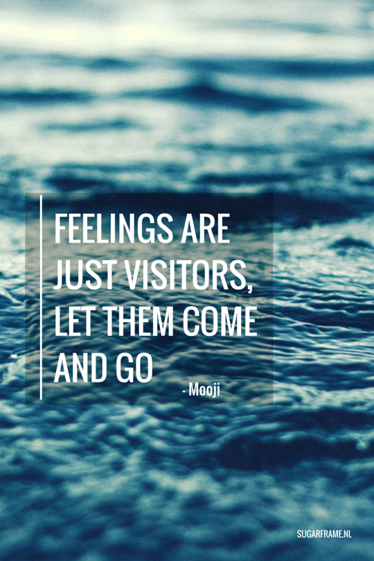 feelings are just visitors