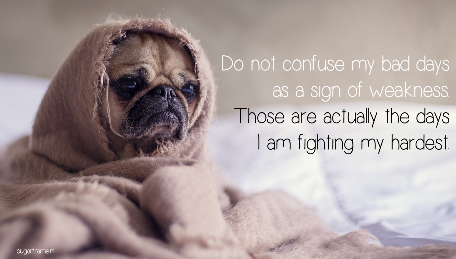 hoe ziet een slechte dag eruit